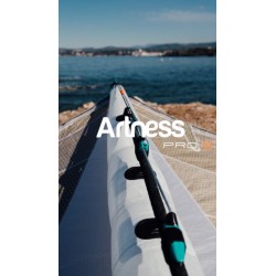 Artness Pro 2 - A3D 