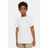 YOUTH MAPLETON TEE - DICKIES