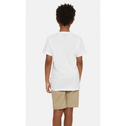 YOUTH MAPLETON TEE - DICKIES 