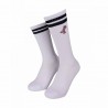OGSC Sports Socks (2 Pack) - SANTA CRUZ