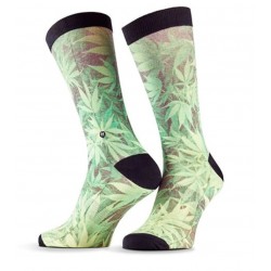 CHAUSETTES - LOIC HENRY 