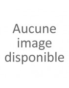 Écharpe